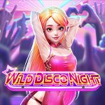 Wild Disco Night